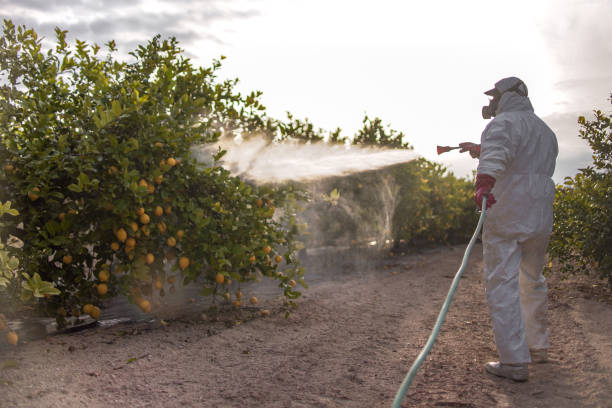 Best Pest Control Near Me  in Newkirk, OK